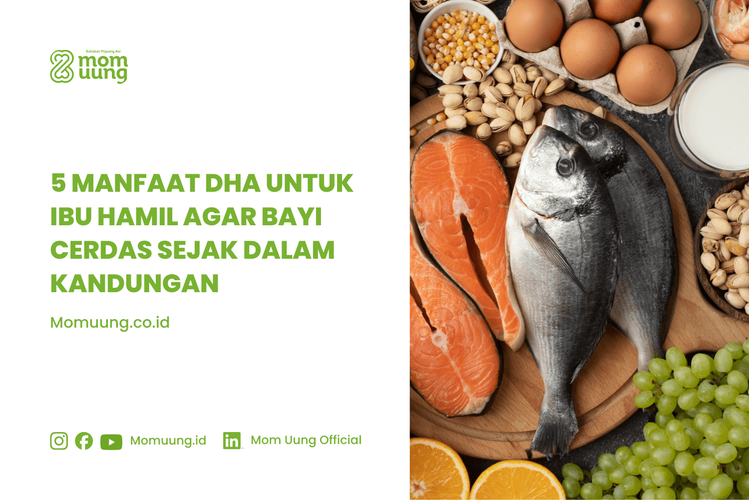5 Manfaat DHA untuk Ibu Hamil agar Bayi Cerdas Sejak dalam Kandungan